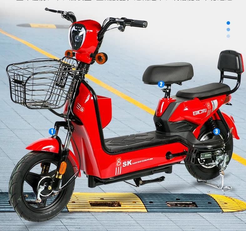 Electric Scooty cycle